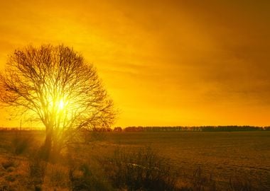 Agriculture Alone Autumn C