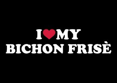 Bichon Frise