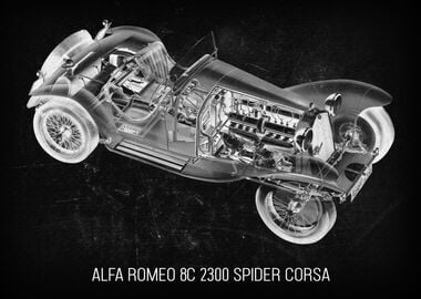 Alfa Romeo 8C 2300 Spider 