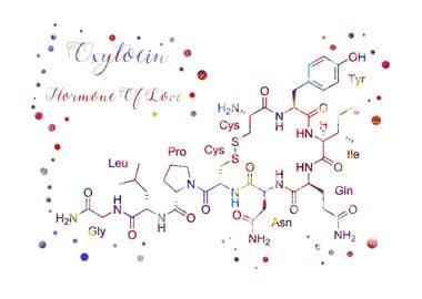 Oxytocin hormone of love