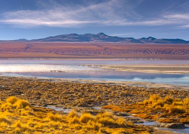 Laguna Colorada