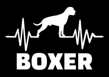 Boxer