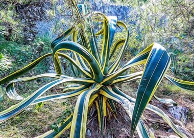 Mediterranean bush