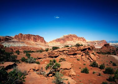 Capitol Reef National Park