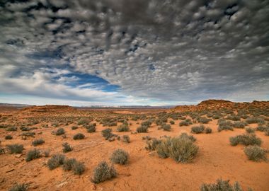 Cotton ball like clouds