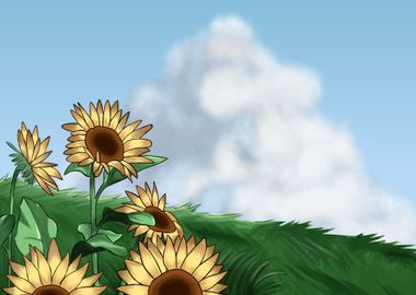 Sunflower