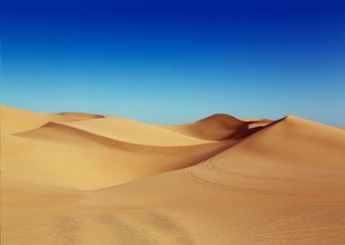 Imperial Sand Dunes