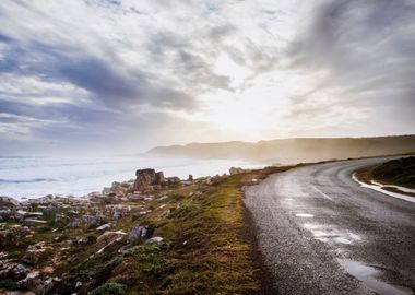 Tar road along coastline