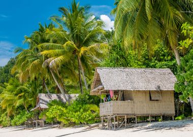 Bamboo Hut Under Palm Tree