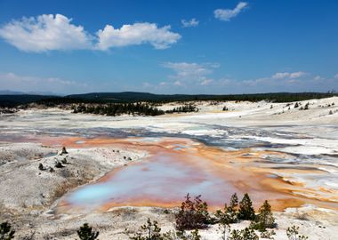 Yellowstone