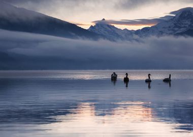 Lake Mountains Geese 