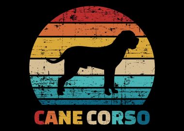 Cane Corso