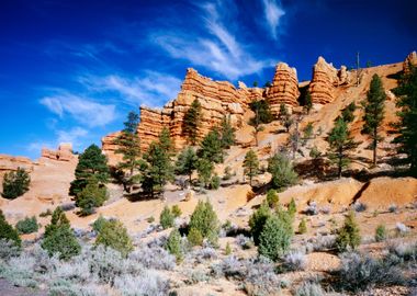 Utah Red Canyon