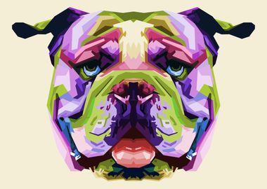 colorful english bulldog 