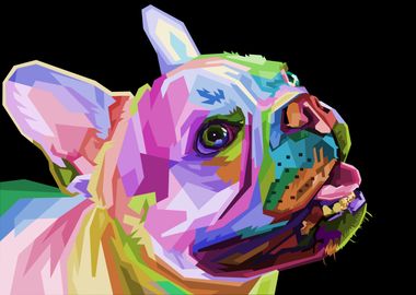 french bulldog 