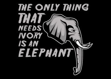 Elefant nature Nature And 