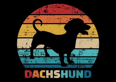 Dachshund