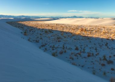 White Sand