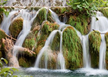 Waterfall With Tree Trunk