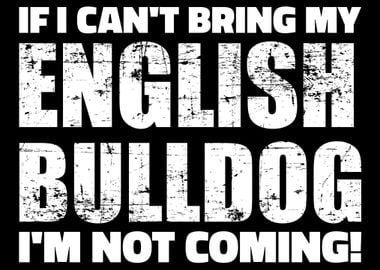 English Bulldog