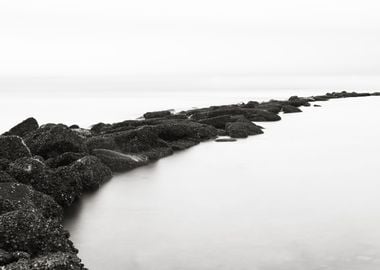 Oystercovered reef