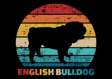 English Bulldog