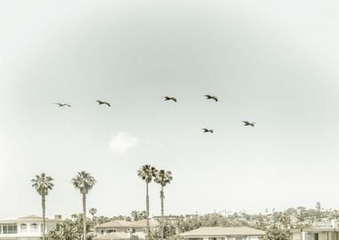 Above the rooftops