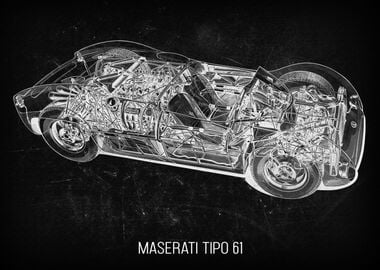 Maserati Tipo 61