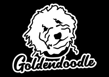 Goldendoodle