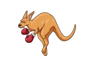 Kangaroo Boxer Boxing