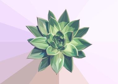 Low Poly Green Succulent