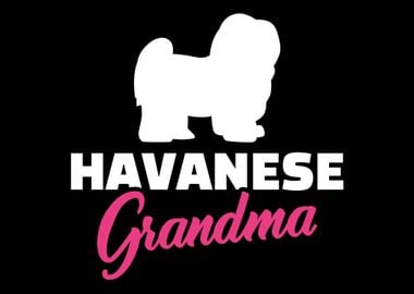 Havanese