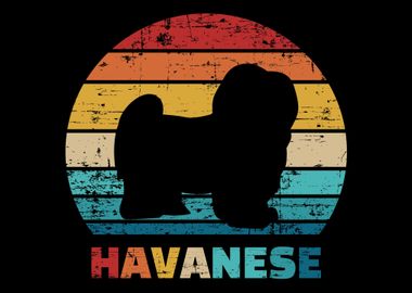 Havanese