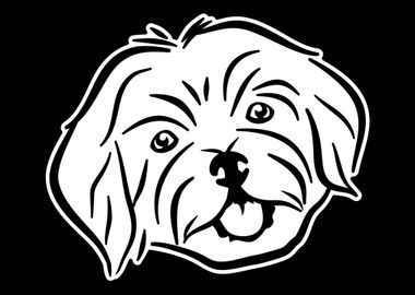 Havanese