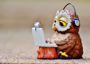 owl fly laptop