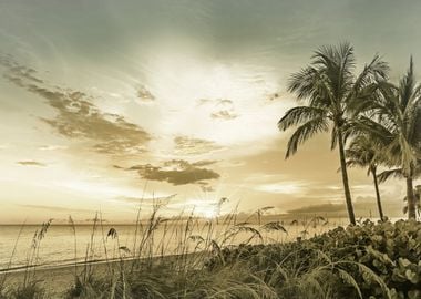 BONITA BEACH Sunset