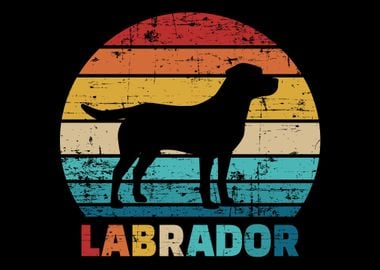 Labrador