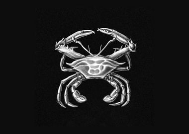 Vintage crab marine life