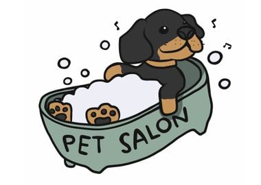 Dachshund dog shower salon