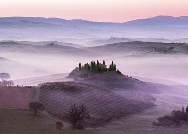 Forest fog sunset mountain