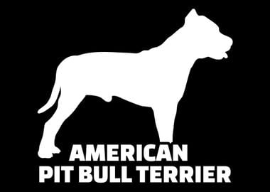 Pit Bull