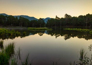 Lake sunrise tranquil calm