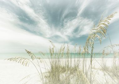 Calmness on the beach