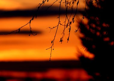 Evening tide