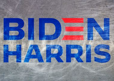 BIDEN HARRIS METALLIC