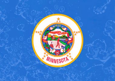 Minnesota State Flag