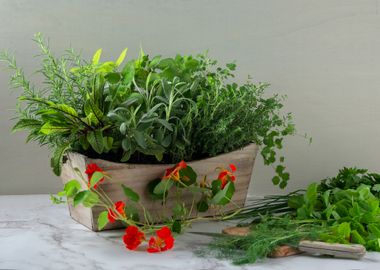 fresh herbs 2