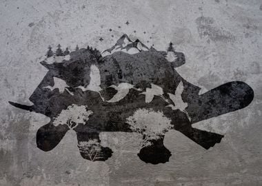 GRAFFITI CONCRETE TURTLE