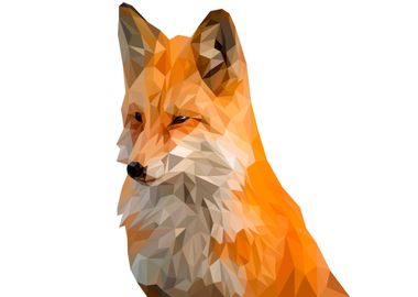 Abstract Fox