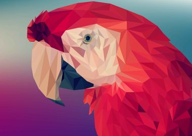 Abstract Red Parrot 